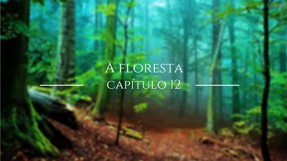 Fanfic / Fanfiction A aventura dos quatro - A floresta