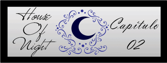 Fanfic / Fanfiction House Of Night - Two