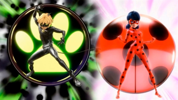 Ladybug: 6 fatos que você não sabia sobre ela - Blog - Bumerang