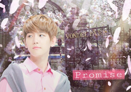 Fanfic / Fanfiction Red Tulip - Promise.