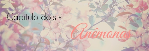 Fanfic / Fanfiction Linguagem Secreta das Flores - Anêmonas