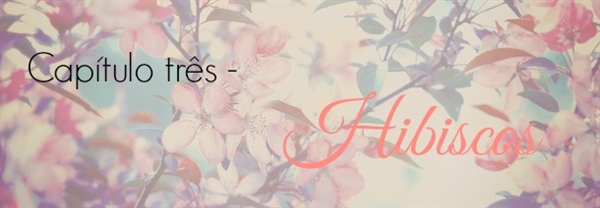 Fanfic / Fanfiction Linguagem Secreta das Flores - Hibiscos