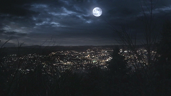 Fanfic / Fanfiction Moonlight shadow ( Sombra do luar) - Capítulo 11- De volta a Beacon Hills