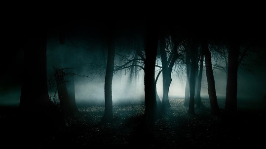 Fanfic / Fanfiction Moonlight shadow ( Sombra do luar) - Capítulo 20- Busca na Floresta