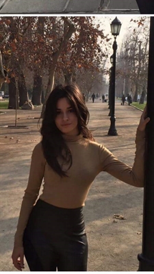 Fanfic / Fanfiction Paixão Sem Limites - (CAMREN) - Feia