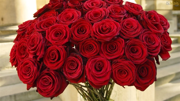 Fanfic / Fanfiction Roses for Kyungsoo - Red roses