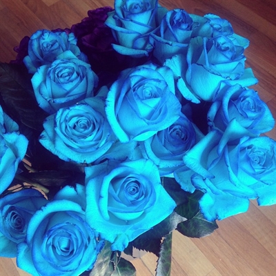 Fanfic / Fanfiction Roses for Kyungsoo - Blue roses