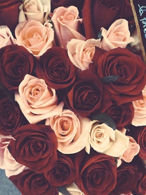 Fanfic / Fanfiction Roses for Kyungsoo - Roses