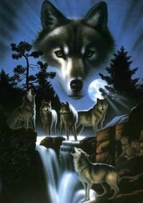 Fanfic / Fanfiction Seven wolfs - Minha maldição