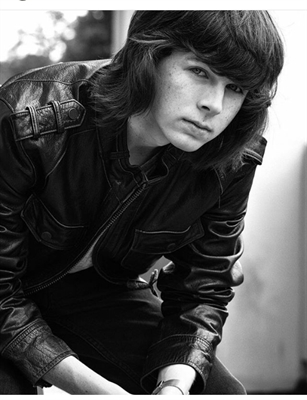 Fanfic / Fanfiction The Walking Dead - Amor Perfeito - Carl Grimes