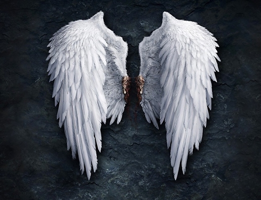 Fanfic / Fanfiction Evil - My angel