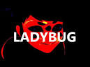 Fanfic / Fanfiction Halloween com Miraculous:As aventuras de Ladybug e ChatNoir - Creepy pasta - Ladybug
