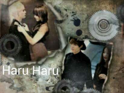 Fanfic / Fanfiction Haru Haru - My happy ending