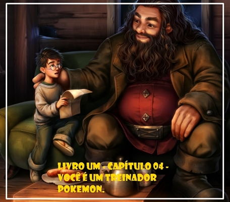 Fanfic / Fanfiction Hogwarts - Uma História Pokémon - Livro Um - Capítulo 04 - Você é um treinador Pokemon.