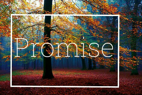 Fanfic / Fanfiction Promise | Jikook - Promise- Prologue- Winter Day