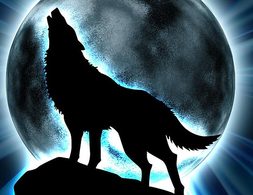 Fanfic / Fanfiction A Bela e o Lobo - Segredos Ocultos