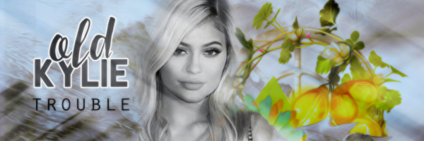 Fanfic / Fanfiction Trouble - Old Kylie