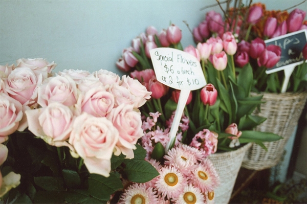Fanfic / Fanfiction Flowers and Drawings for her - (Camren) - Surpresa!