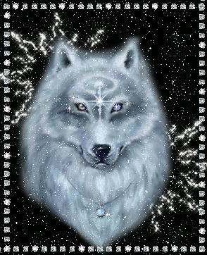 Fanfic / Fanfiction Wolves Protectors - Ruídos estranhos