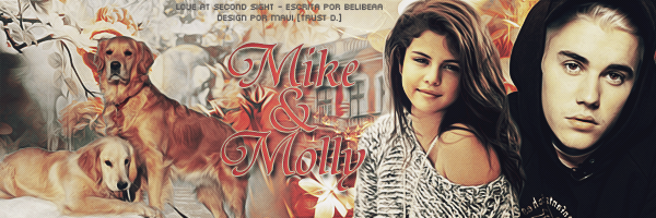 Fanfic / Fanfiction Love at second sight - Mike and Molly