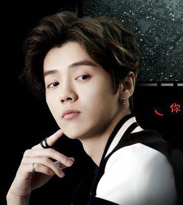 Fanfic / Fanfiction My bro Luhan - What is your problem?