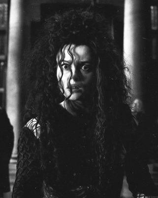 Fanfic / Fanfiction O coração das Trevas - Hermione 1 x 0 Bellatrix