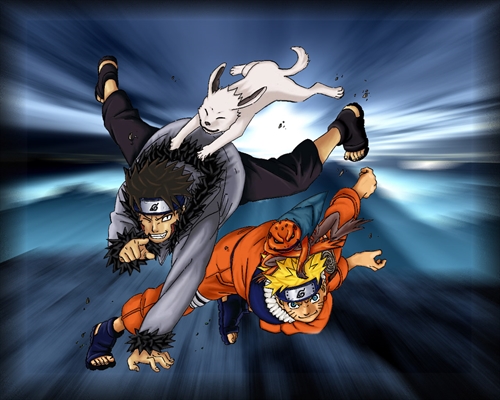 Fanfic / Fanfiction One Piece e Naruto - Kiba VS Naruto! O desenrolar da prova Chunnin!