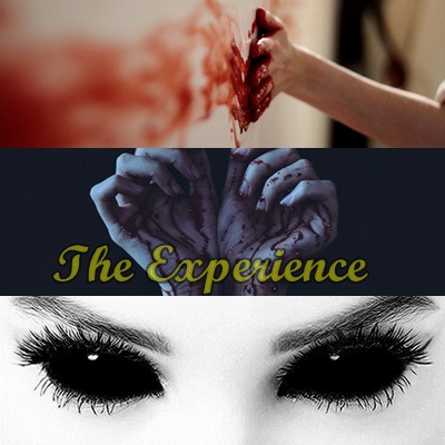 Fanfic / Fanfiction The Experience - Camren - Monster