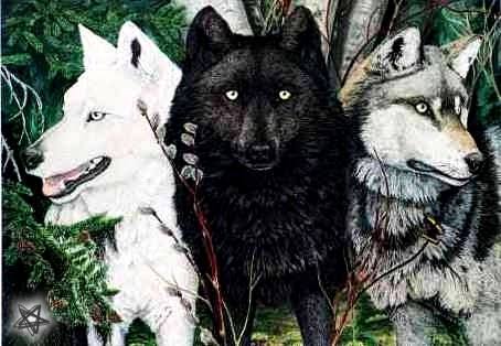 Fanfic / Fanfiction Wolves Protectors - Dia de Natal