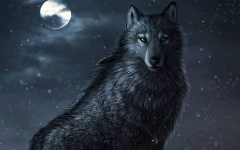 Fanfic / Fanfiction Wolves Protectors - Mirok, lobo negro