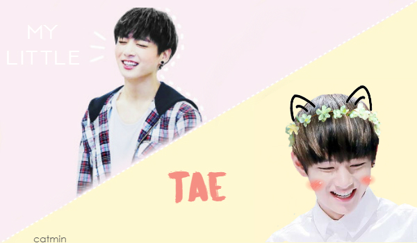 Fanfic / Fanfiction A Little Cat - Vkook - My Little Tae