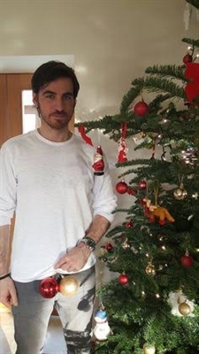 Fanfic / Fanfiction Dear diary - Christmas of colin