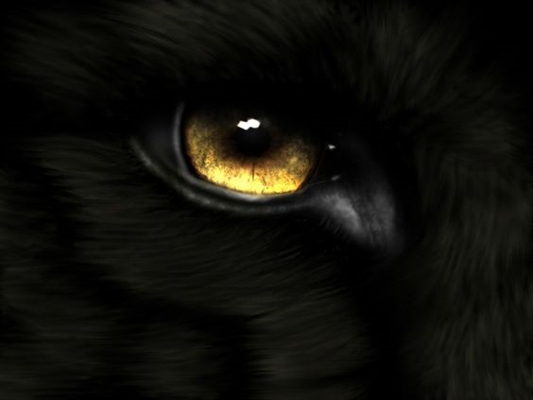 Fanfic / Fanfiction Dracula's Blood - Os olhos que Brilham na Escuridão