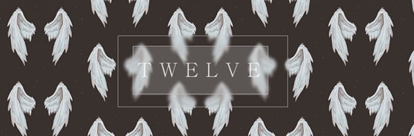 Fanfic / Fanfiction My Glass Angel - Twelve Wings