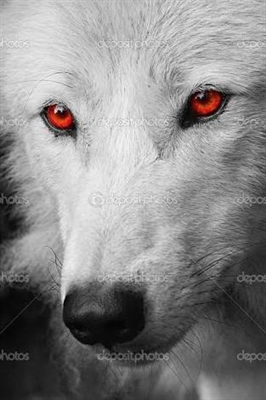 Fanfic / Fanfiction Wolves Protectors - Mais problemas