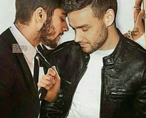 Fanfic / Fanfiction Crazy In Love-Ziam - Contract Made.
