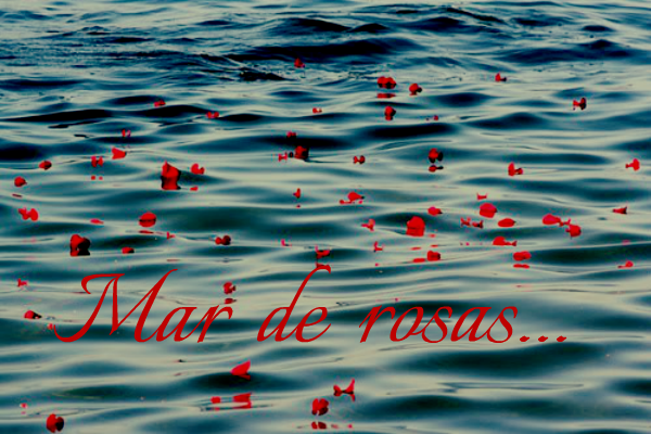 Fanfic / Fanfiction Lie {JiKooK} - Mar de rosas