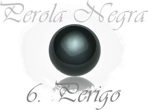 Fanfic / Fanfiction Pérola Negra - Perigo