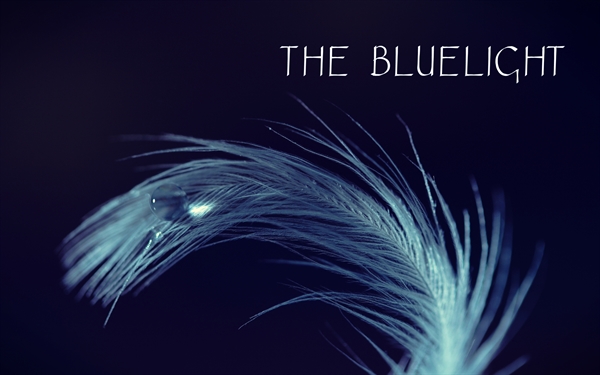 Fanfic / Fanfiction The Bluelight - First Feather