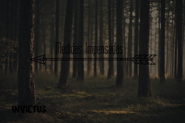 Fanfic / Fanfiction Invictus - Medidas Impensadas