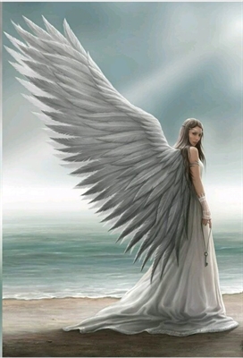 Fanfic / Fanfiction My Angel - A Vingança do Anjo