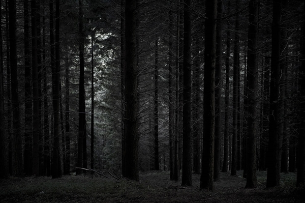 Fanfic / Fanfiction Orações Suicidas - Into the Woods