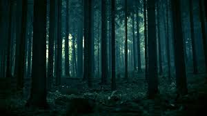 Fanfic / Fanfiction Os 4 elementos da natureza - A Floresta Escura