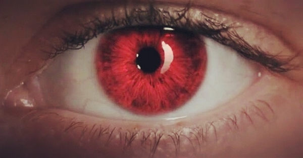 Fanfic / Fanfiction Bad Blood (Camren) - Red?