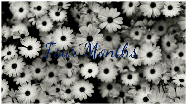 Fanfic / Fanfiction Dangerous - Four Months