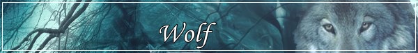 Fanfic / Fanfiction Link - Wolf