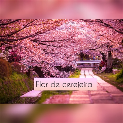 Fanfic / Fanfiction Love game - Flor de cerejeira