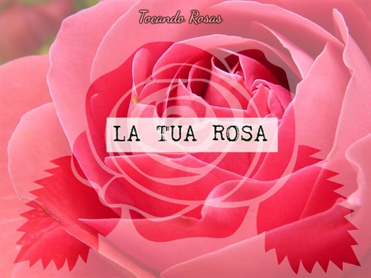 Fanfic / Fanfiction Tocando Rosas - Com Dó V recorda-se La tua Rosa