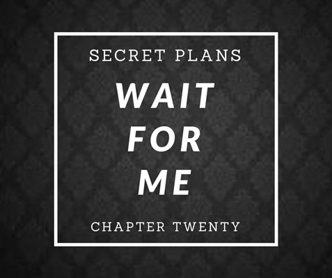 Fanfic / Fanfiction Wait For Me - Secret Plans