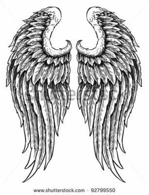 Fanfic / Fanfiction Mermaids and Vampires - Wings